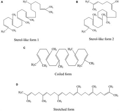 The physiological function of squalene and its application prospects in animal husbandry